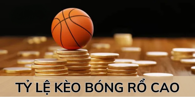 keo-bong-ro-ty-le-canh-tranh